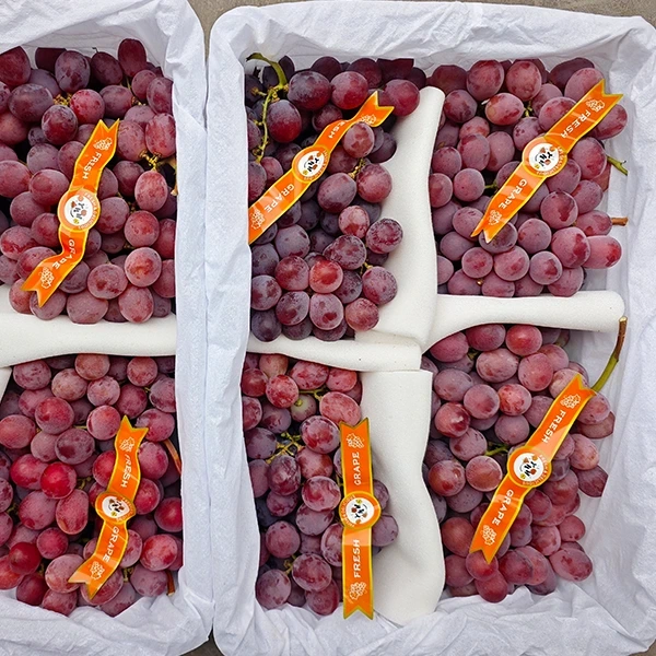 Bidh caitheamh grape bùird ùr a ’gluasad a dh’ ionnsaigh solar Tùs-Dìreach