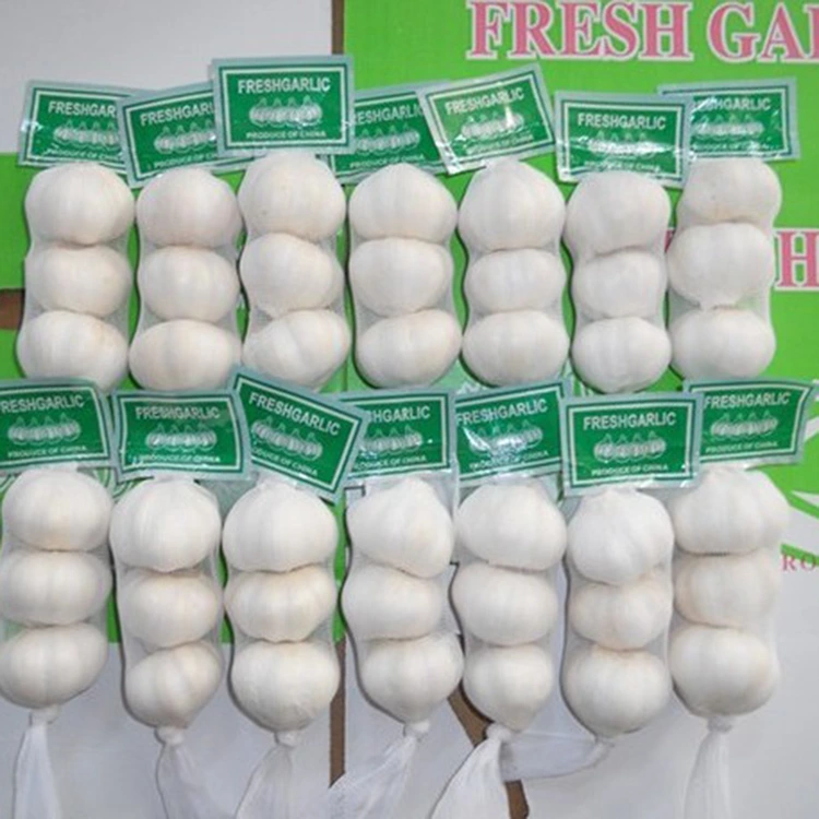 Carson a tha Premium Fresh Garlic mar an roghainn as fheàrr le luchd-ceannach a tha mothachail air càileachd?
