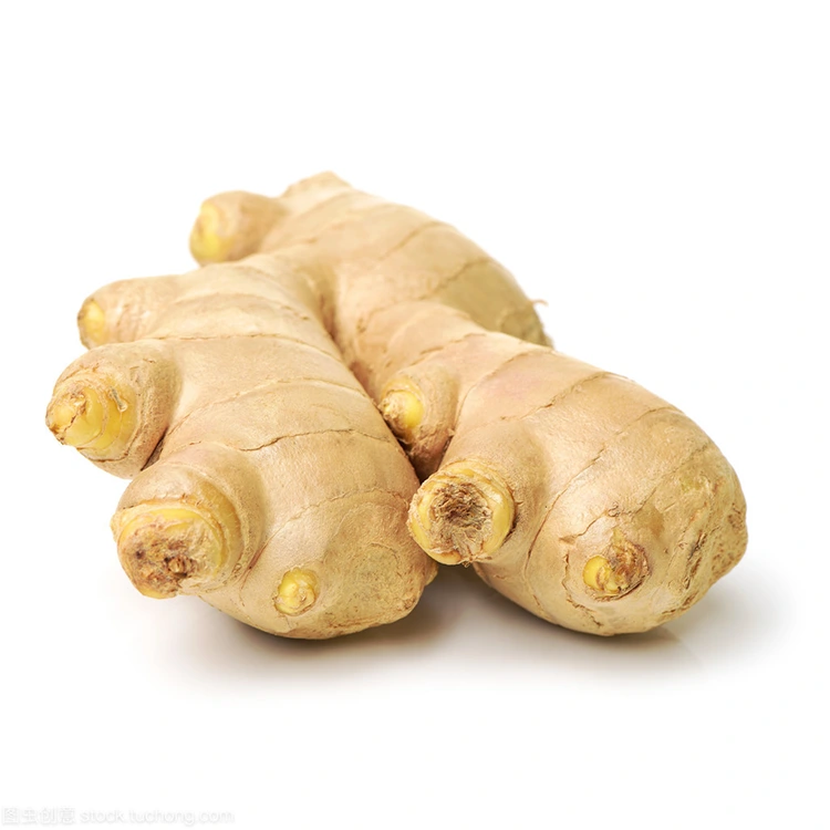 Carson a tha Premium Fresh Ginger mar an roghainn as fheàrr le luchd-ceannach a tha mothachail air càileachd?