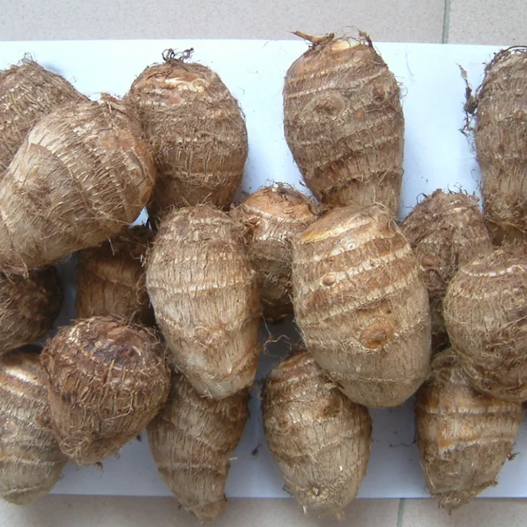 Taro ùr achaidh
