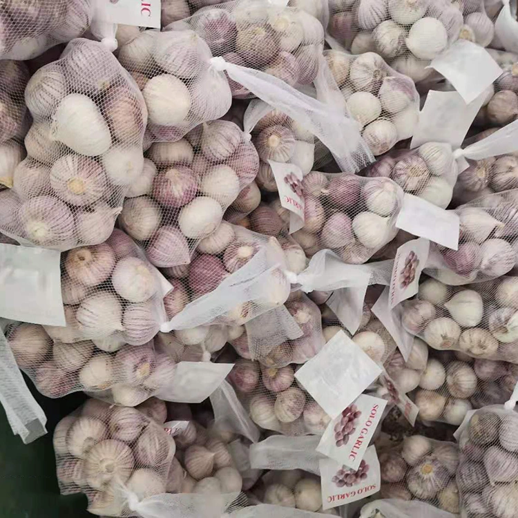 Garlic clove singilte de chàileachd àrd