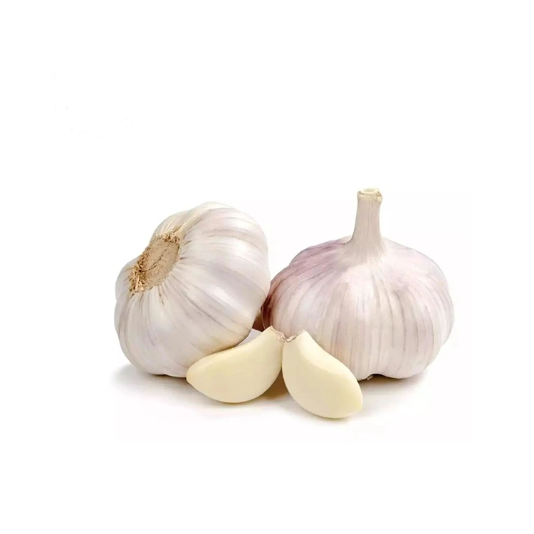Premium Firm agus Garlic Geal àbhaisteach plump