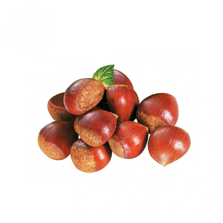 Chestnuts de chàileachd àrd