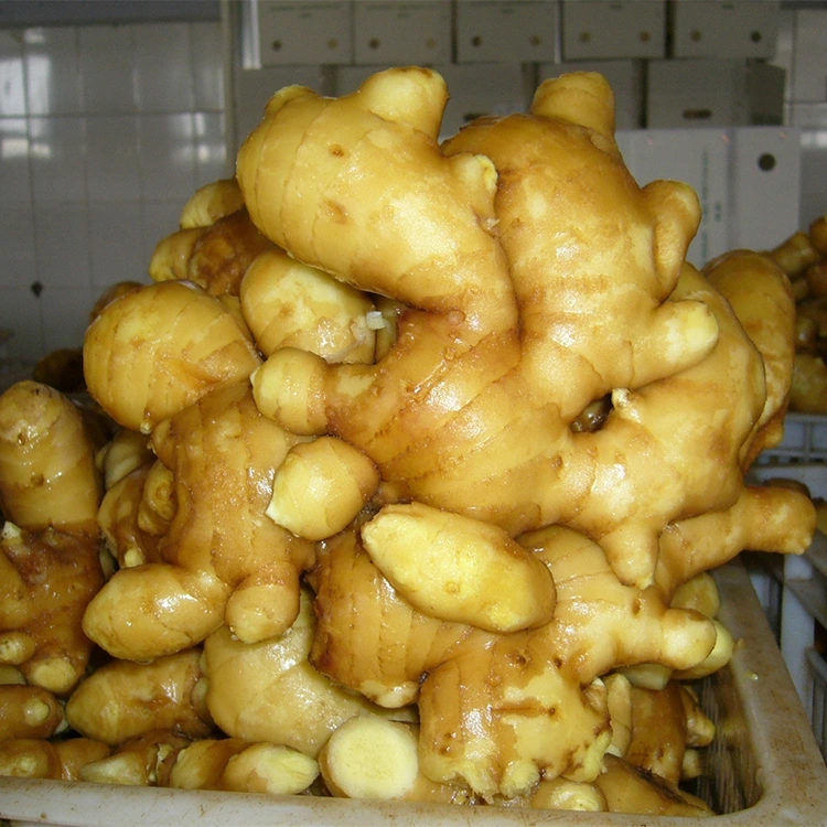 Ginger aromatic ùr spìosrach