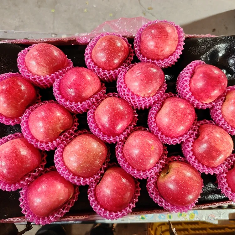 Ùbhlan Jiguan Ùra Superior
